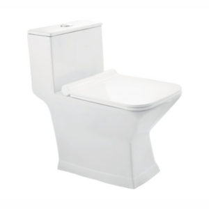 Hindware Touchfree Closet Tozzo